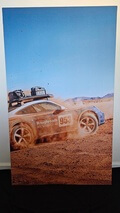  Porsche 911 Dakar 4-Panel Display