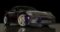2k-Mile 2018 Porsche 991.2 GT3 Paint to Sample
