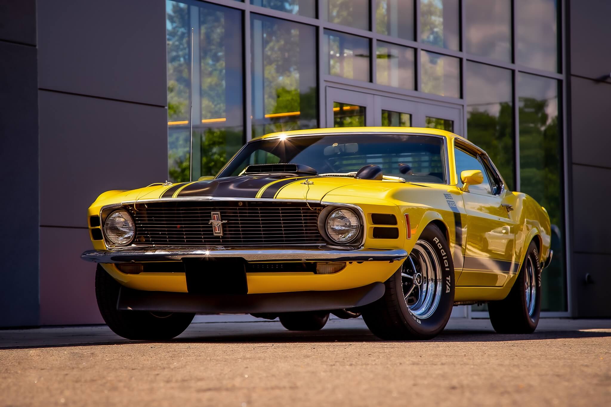 Ford Mustang 302 Fastback |