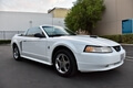 NO RESERVE 1999 Ford Mustang GT Convertible