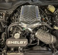 2021 Ford Shelby Super Snake Speedster #87/98