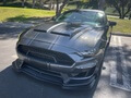 2k-Mile 2019 Ford Mustang Shelby Super Snake