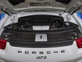 13k-Mile 2014 Porsche 991 GT3