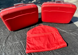  3-Piece Schedoni Ferrari Luggage