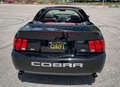 13k-Mile 2003 Ford Mustang SVT Cobra 10th Anniversary