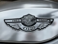 NO RESERVE 2003 Harley Davidson V-Rod