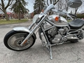 NO RESERVE 2003 Harley Davidson V-Rod