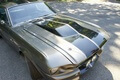 1967 Ford Mustang Fastback Eleanor Tribute