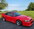 33k-Mile 2002 Ford Mustang Saleen S281 Convertible 5-Speed