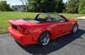 33k-Mile 2002 Ford Mustang Saleen S281 Convertible 5-Speed