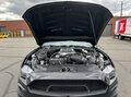 DT: 2021 Ford Shelby Mustang Super Snake Speedster