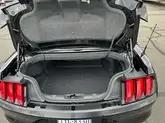 2021 Ford Shelby Mustang Super Snake Speedster