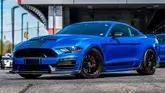 80-Mile 2021 Ford Shelby Mustang Super Snake