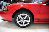 4k-Mile 2003 Ford Mustang Mach 1 5-Speed Modified