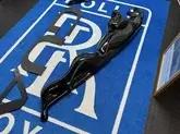 DT: Jaguar 'Leaping Cat' Sign and Letters