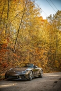 300-Mile 2019 Porsche 991 Speedster