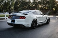  2k-Mile 2020 Ford Mustang Shelby GT350R Heritage Edition