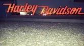 Large Neon Illuminated Harley Davidson Sign